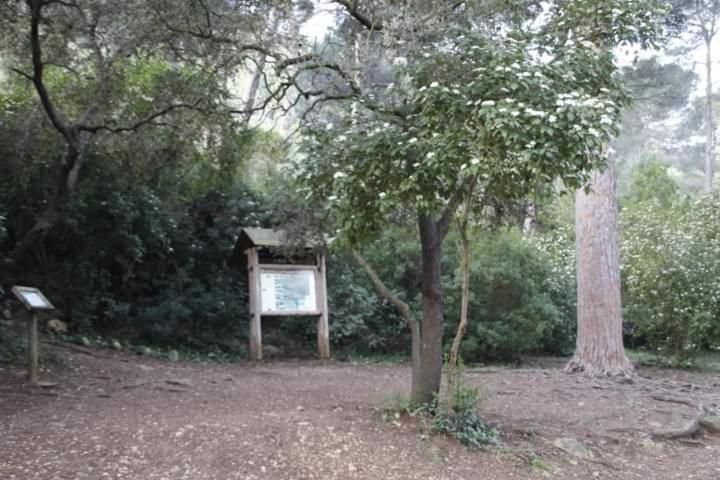 Apartmán Casa Rural Ca Xelo Polinya de Xuquer Exteriér fotografie